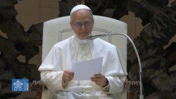 Udienza con il Papa, in Aula Paolo VI bandiere Ucraina e Libano